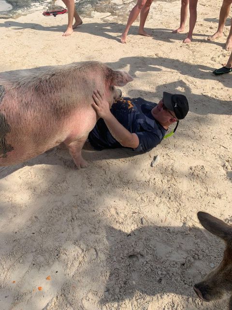 Nassau: Self-Drive Speedboat Ride and Pig Swimming Encounter - Why the small group makes a difference