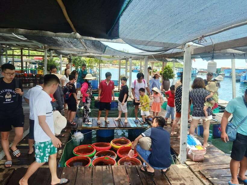 Nha Trang: 3-Island Tour with Lunch and Speedboat Ride - Should you book the Nha Trang 3-Island Tour?