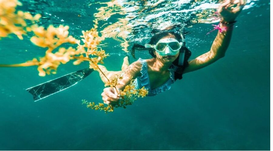 Nha Trang: Island-Hopping & Snorkeling Day Trip by Speedboat - What is included, and what is not