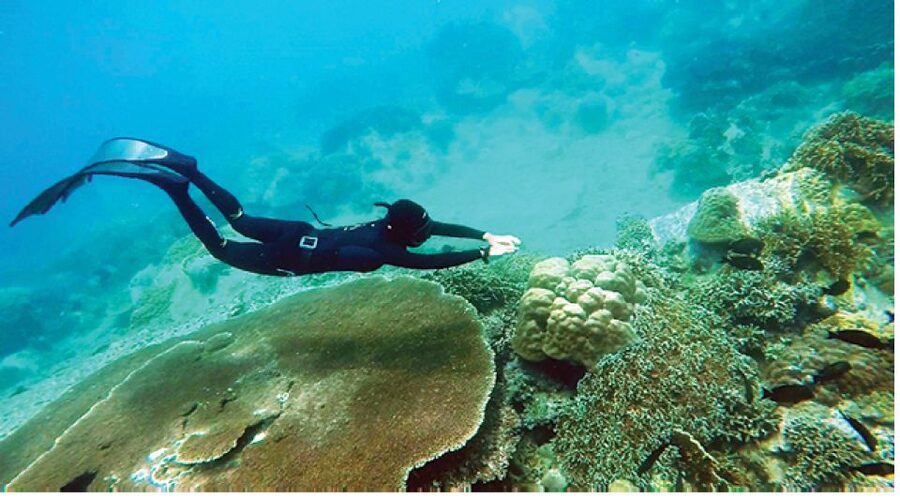 Nha Trang: Island-Hopping & Snorkeling Day Trip by Speedboat - Who will get the most from this day