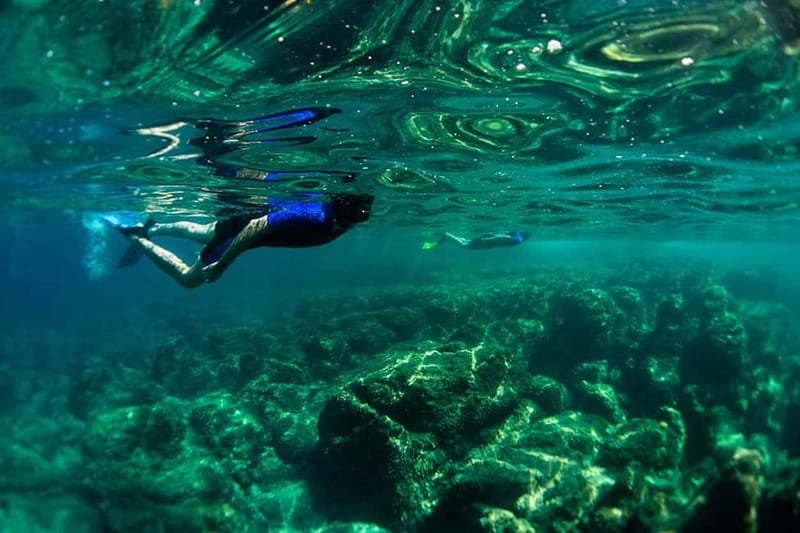 Nice: Snorkeling Speedboat Tour in Villefranche Bay - Key points to know before you book