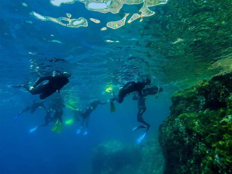 Nice: Snorkeling Speedboat Tour in Villefranche Bay - A quick boat ride from Nice to Villefranche Bay