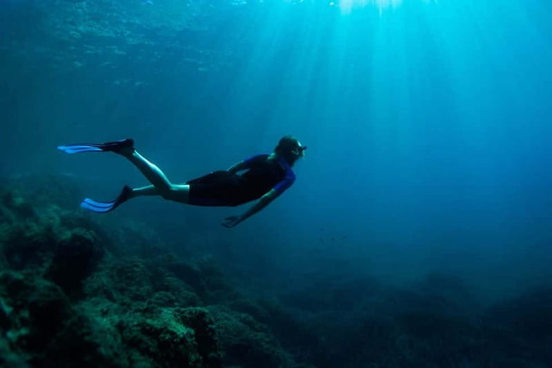 Nice: Snorkeling Speedboat Tour in Villefranche Bay - Water conditions, jellyfish, and comfort