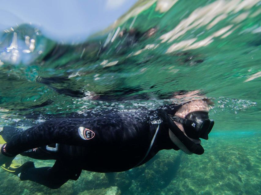 Nice: Snorkeling Speedboat Tour in Villefranche Bay - The instructors are a major part of the experience