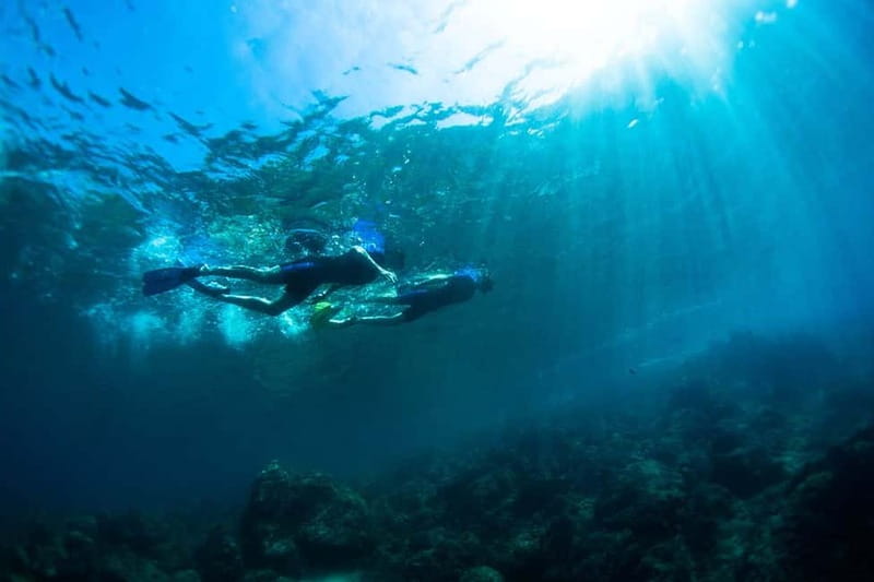 Nice: Snorkeling Speedboat Tour in Villefranche Bay - Is $70 a fair price for 90 minutes?