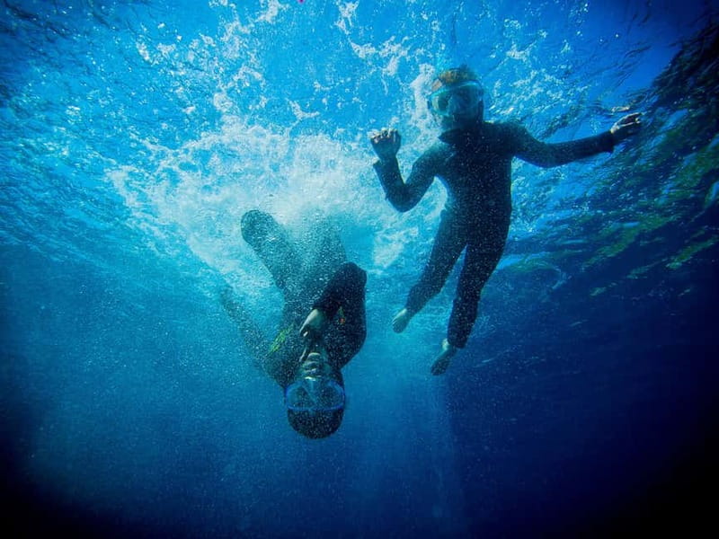 Nice: Snorkeling Speedboat Tour in Villefranche Bay - What happens at the Port of Nice