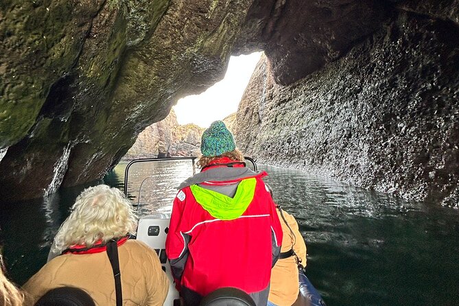 Northern Islands RIB Tour - Wildlife watching without false promises