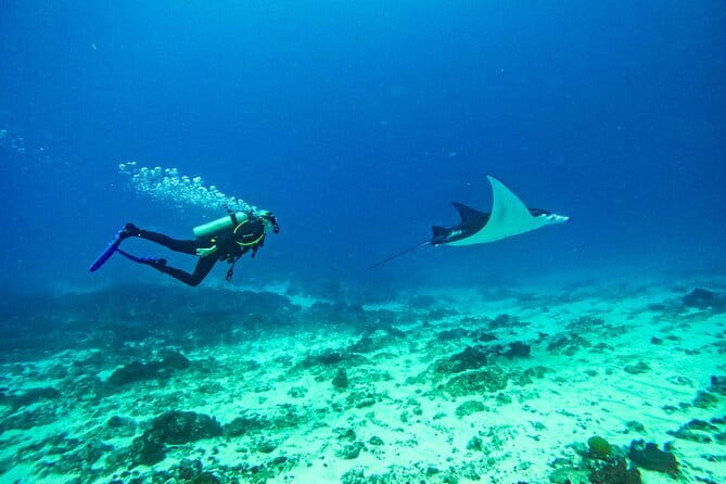 Nusa Penida Private Diving Tour by Speedboat - Lunch beside Lembongan Lagoon