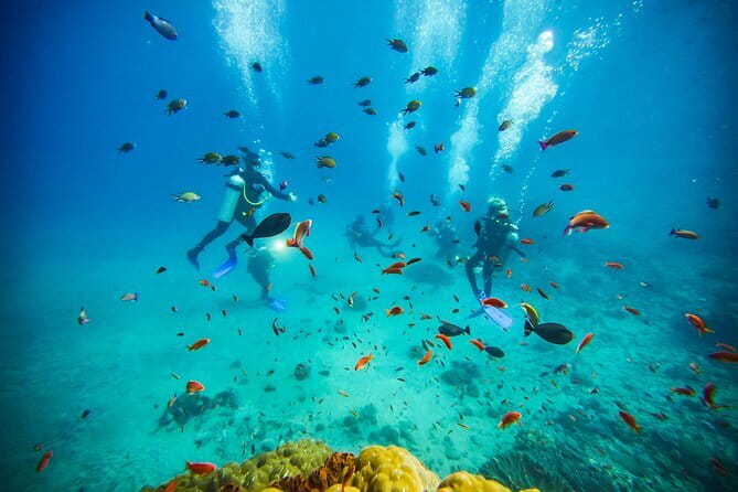 Nusa Penida Private Diving Tour by Speedboat - Weather, cancellation, and practical planning