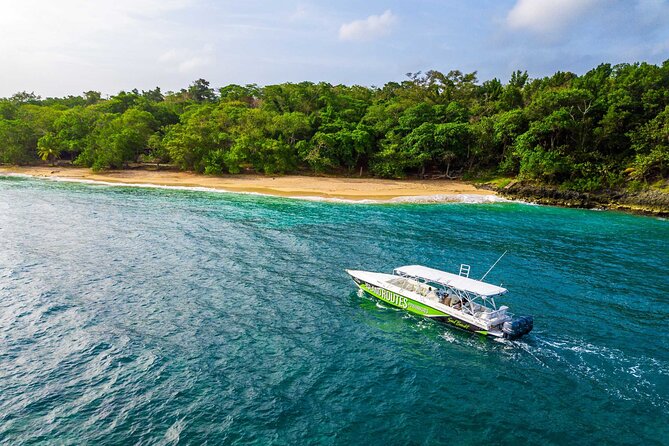 Ocho Rios Powerboat & Dunn’s River Falls Adventure - A powerboat introduction to Ocho Rios