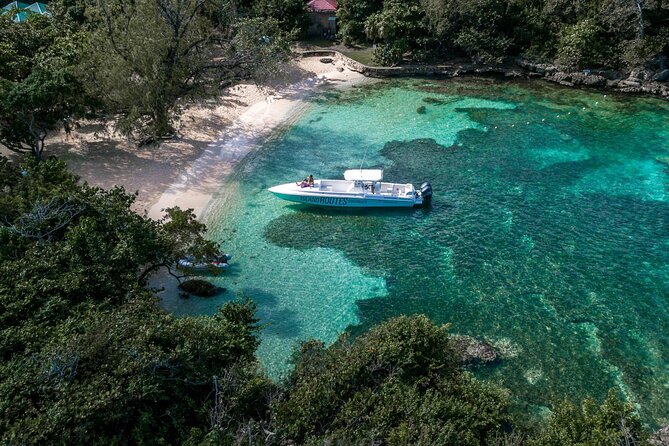 Ocho Rios Powerboat & Dunn’s River Falls Adventure - Why the small group matters