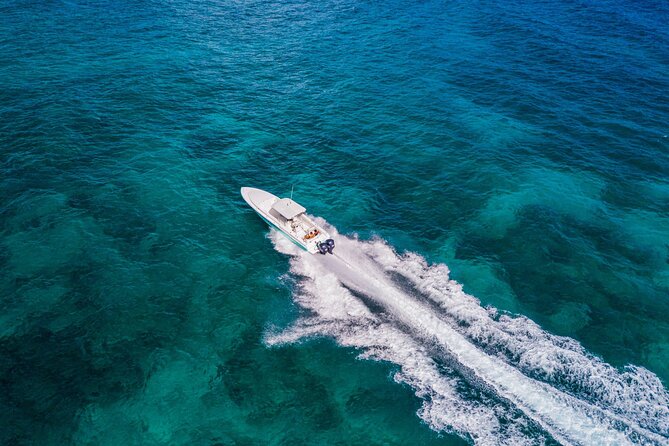 Ocho Rios Powerboat & Dunn’s River Falls Adventure - Is $240 a fair price?