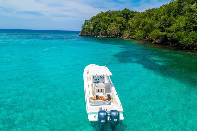 Ocho Rios Powerboat & Dunn’s River Falls Adventure - Who will enjoy this Ocho Rios outing?