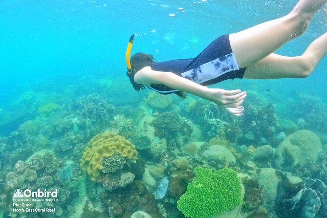 OnBird - Private family KID-FRIENDLY Snorkeling trip by speedboat in Phu Quoc - Coral Mountain and Coral Steep Reef
