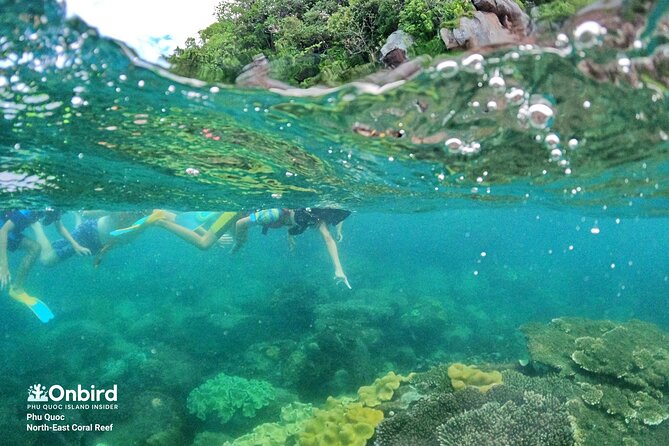 OnBird - Private family KID-FRIENDLY Snorkeling trip by speedboat in Phu Quoc - May Rut Island gives the day a softer finish