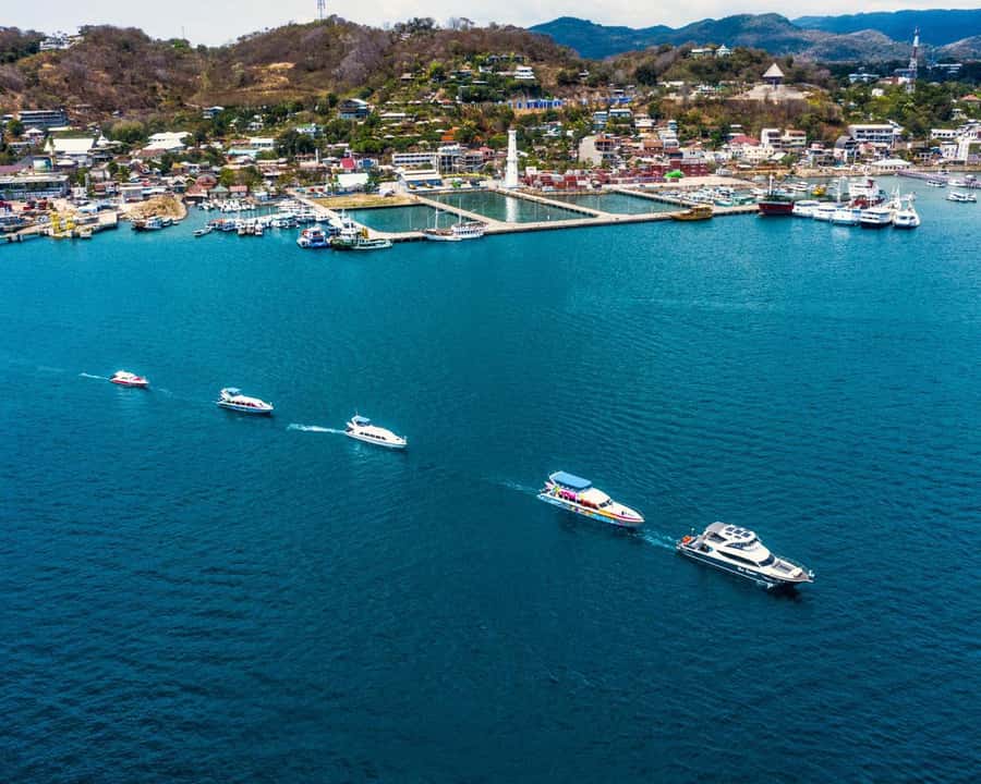 One-Day Komodo Tour By Speedboat - Meeting Komodo dragons on Komodo Island