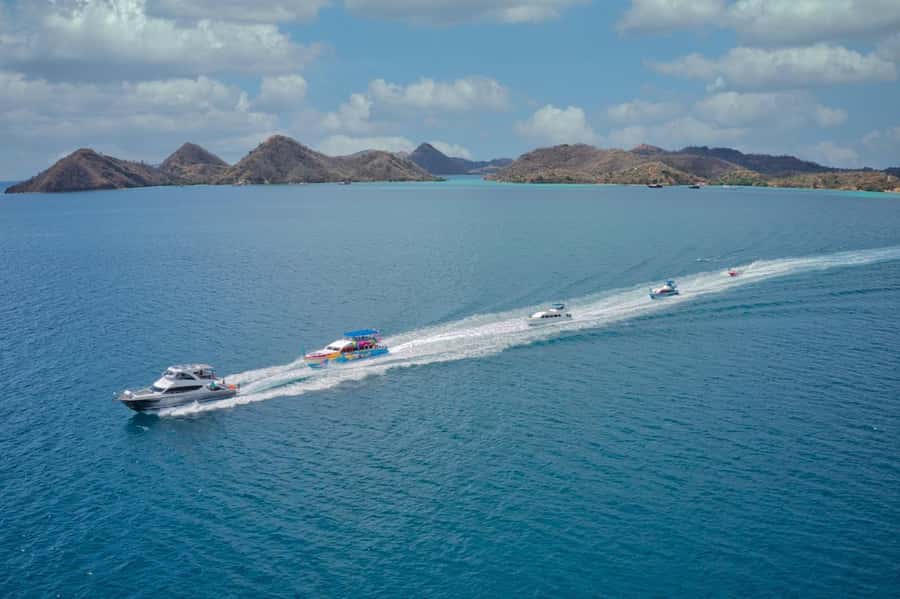 One-Day Komodo Tour By Speedboat - Kanawa Island and the final swim