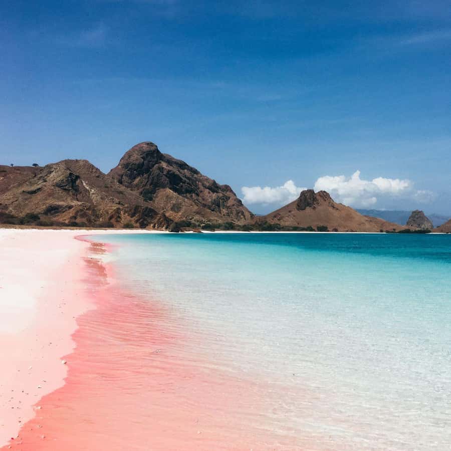 One-Day Komodo Tour By Speedboat - The sunset alternative with Kelor and Kalong