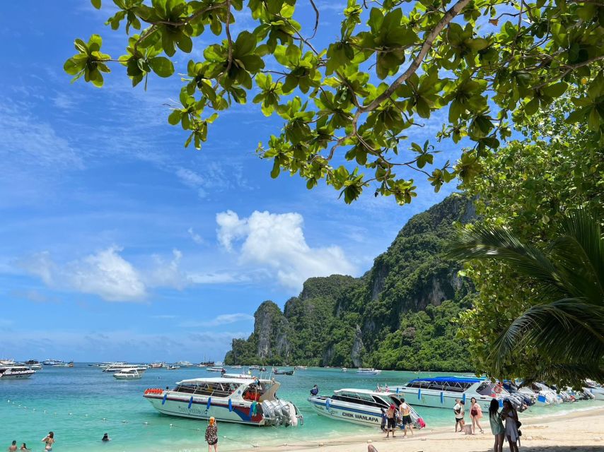 One Day Phi Phi Island by speed boat ( Join ) - Maya Bay and the reality behind the famous view