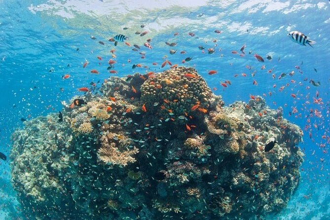 Orange Bay Private Speedboat ,Snorkeling, Water Sport- Hurghada - Orange Bay beach time