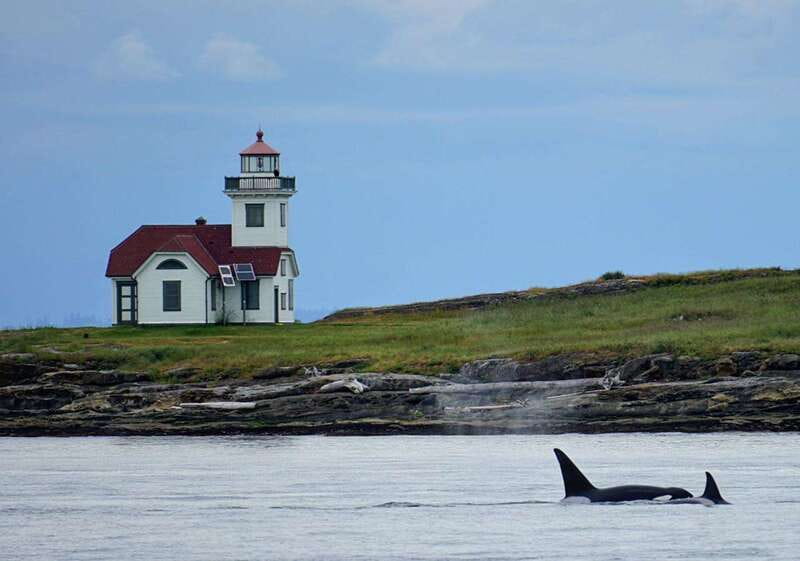 Orcas Island: Whale and Orca Guided Speedboat Tour - Leaving Orcas Island for the San Juan archipelago