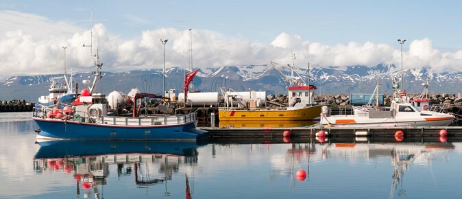 Original Big Whale Safari & Puffins Speedboat Tour from Húsavík - Why Húsavík is the right place for this boat ride