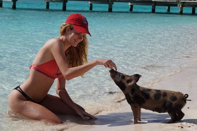 Original Exuma Powerboat Adventures - Meeting the iguanas of Allen’s Cay
