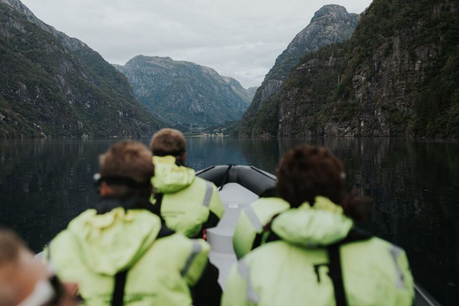 Øystese: Hardangerfjord RIB safari to the Fyksesund branch - Why Fyksesund is worth an hour of your time