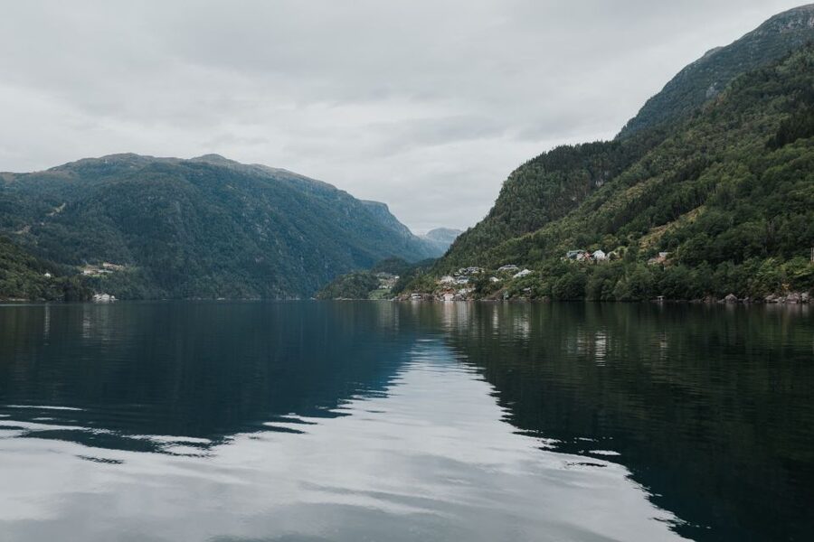Øystese: Hardangerfjord RIB safari to the Fyksesund branch - Speed, comfort, and safety