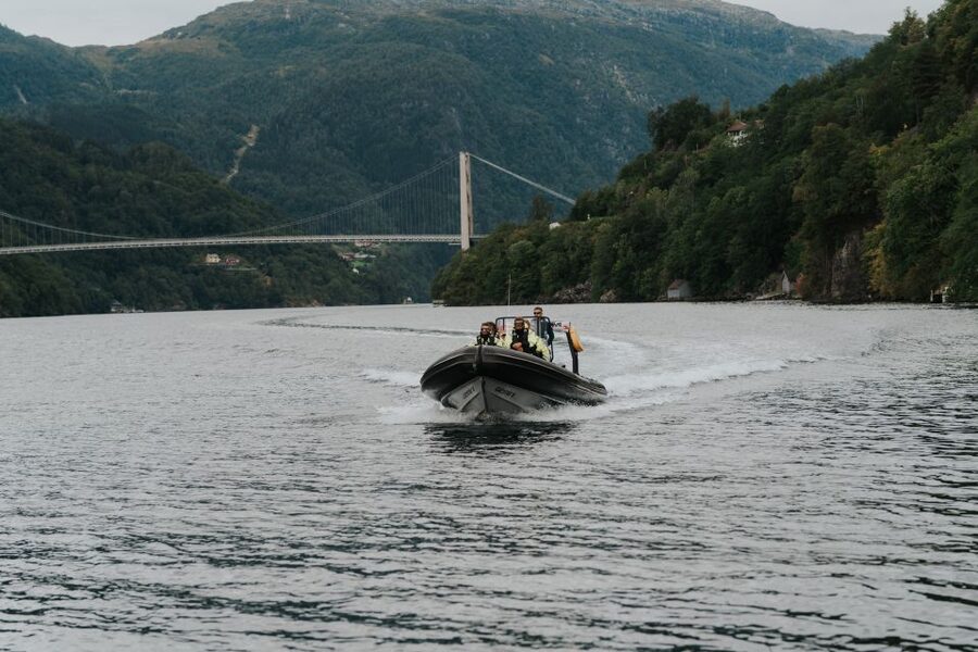 Øystese: Hardangerfjord RIB safari to the Fyksesund branch - Starting at Hardangerfjord Hotel in Øystese