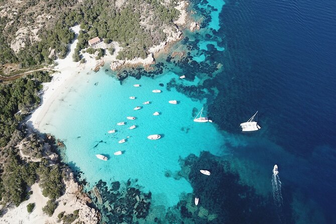 Palau or La Maddalena: 4-hour RIB tour of the archipelago - Cala Coticcio, the Mediterranean Tahiti