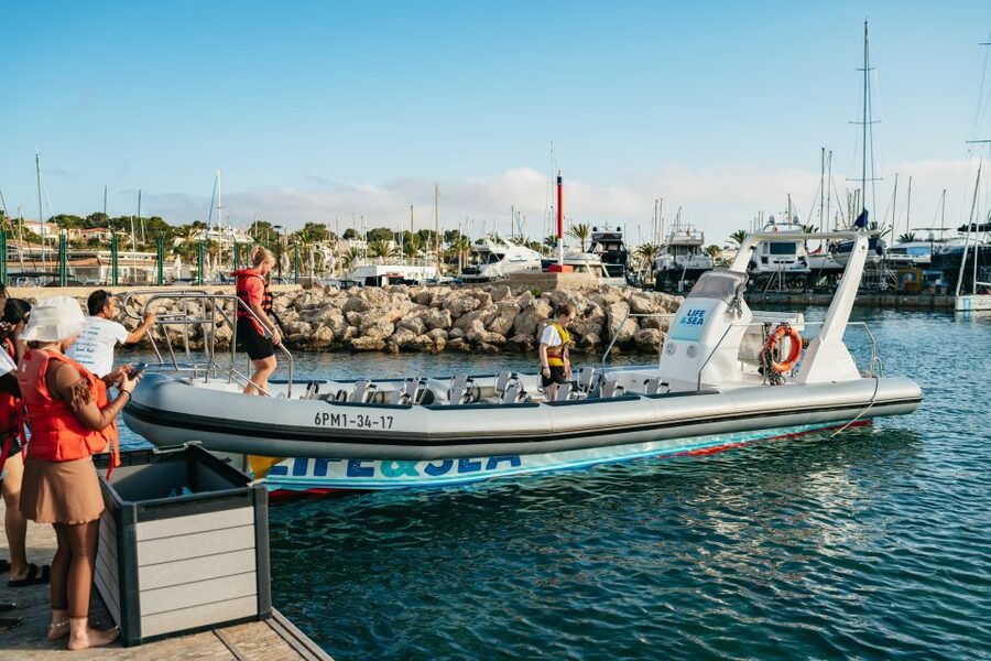 Palma Bay: 1-Hour Speedboat Adventure - The ride back: turns, jumps, and straightaways