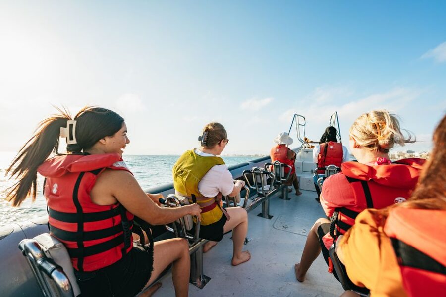 Palma Bay: 1-Hour Speedboat Adventure - Who will enjoy this most