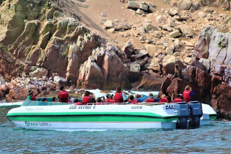 Paracas: speedboat BALLESTAS ISLANDS TOUR - Key points to know before booking