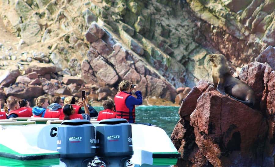 Paracas: speedboat BALLESTAS ISLANDS TOUR - What the two-hour Ballestas trip is really like