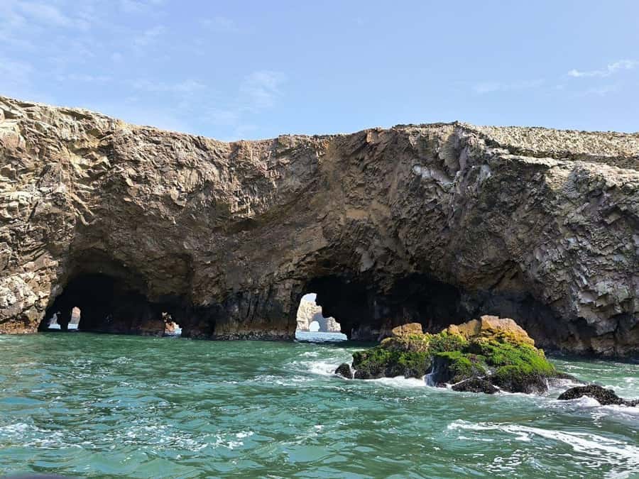 Paracas: speedboat BALLESTAS ISLANDS TOUR - Is the $18 price good value?