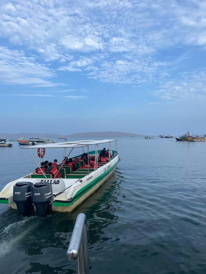 Paracas: speedboat BALLESTAS ISLANDS TOUR - Booking advice and cancellation flexibility