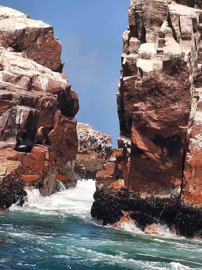 Paracas: Tours to Ballestas Islands by Speed Boat - Crossing Paracas Bay by speedboat