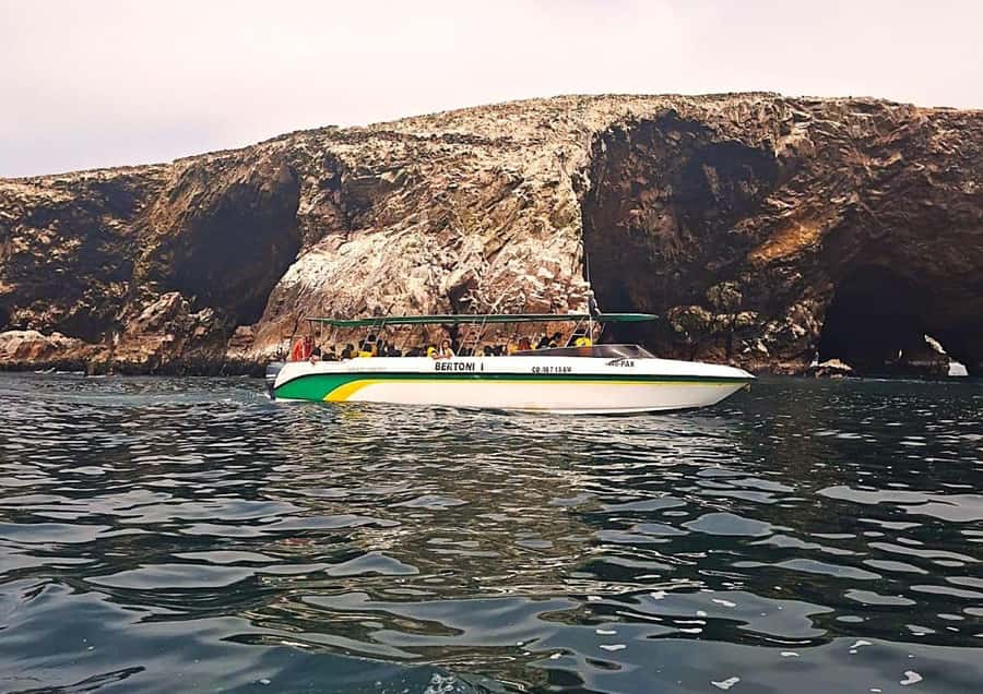 Paracas: Tours to Ballestas Islands by Speed Boat - Circling the Ballestas Islands and their wildlife