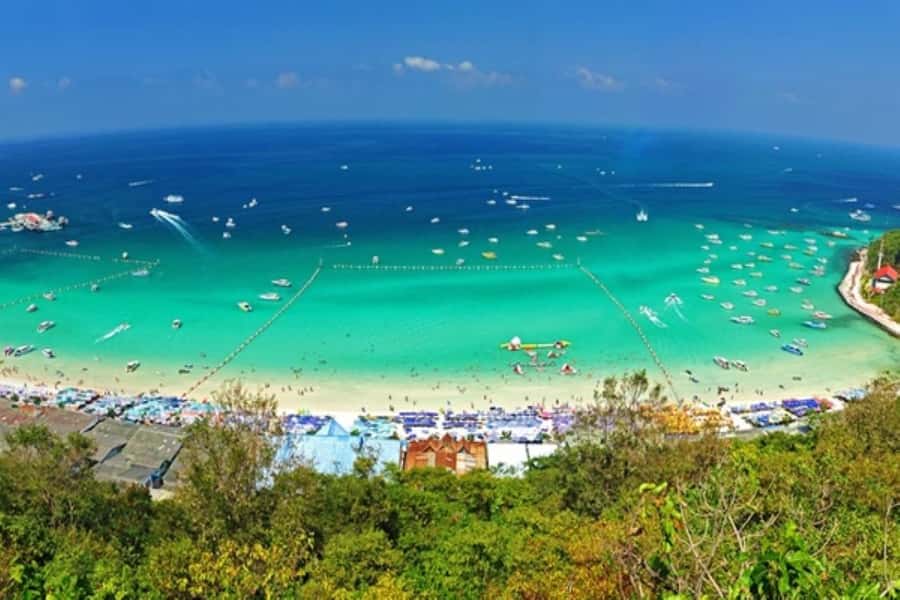 Pattaya: Coral Island Speed Boat, Sea Walker and Lunch - Transport, timing, and meeting points