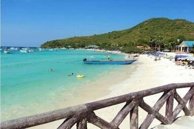 Pattaya: Coral Island-Trip with Lunch and activities your choice by Speed Boat - What the snorkeling portion is really like