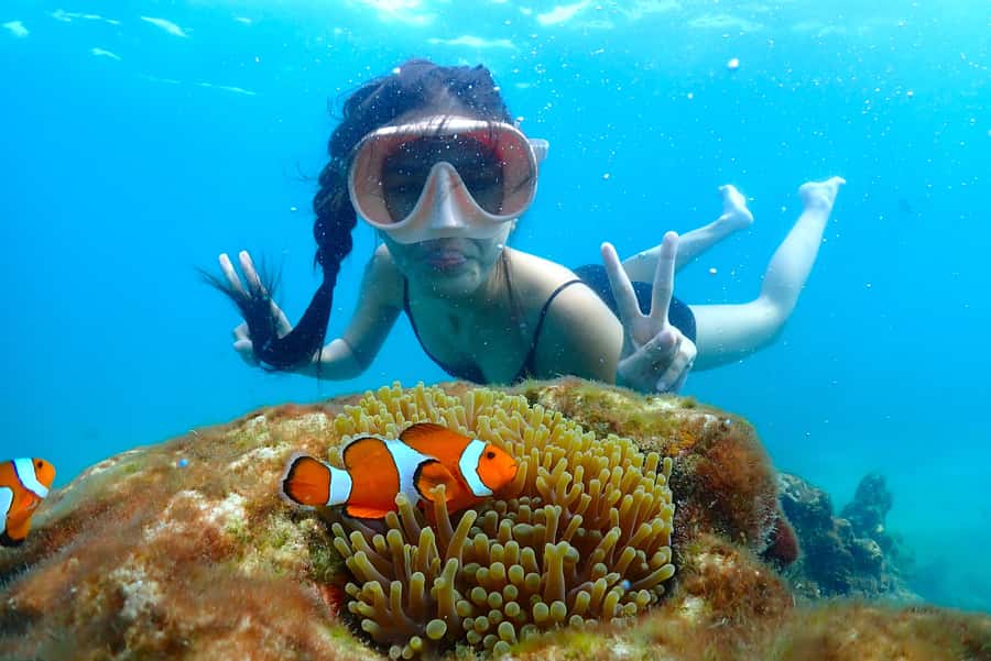 Pattaya: Private Speedboat Nemo Island with Snorkel & BBQ - Snorkeling with Nemo and coral
