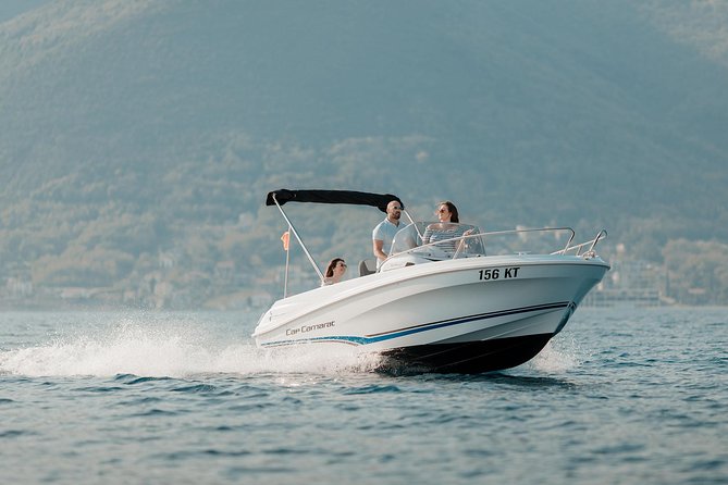 Personalized private speed boat tour - What you may see from the boat