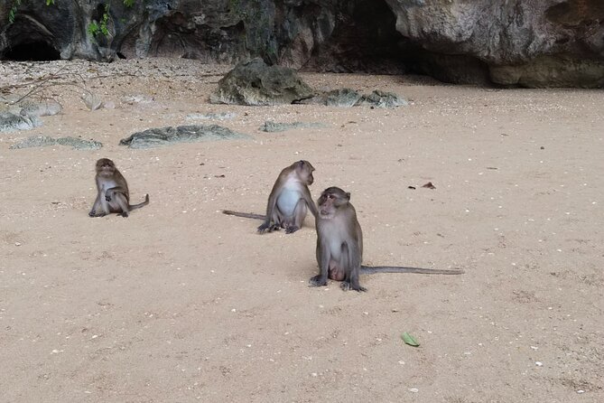Phang Nga Bay Island Boat Tour By Speedboat By Phuket Sail Tours - What the crew adds to the day