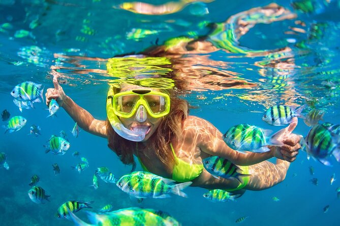 Phi Phi and Khai Islands Snorkeling Tour with Lunch by Speedboat - Phi Phi Leh, cliffs, and the approach to Maya Bay
