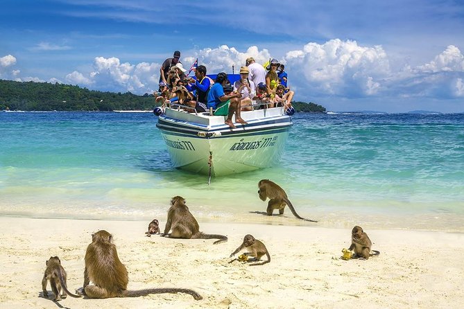 Phi Phi Island Tour by Speedboat from Krabi with Lunch (SHA Plus) - Snorkeling at Loh Samah Bay