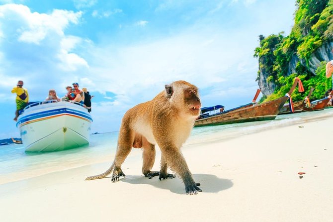 Phi Phi , Khai & Maya : Unforgettable Island Hopping by Speedboat - Viking Cave and Maya Bay: the headline stops