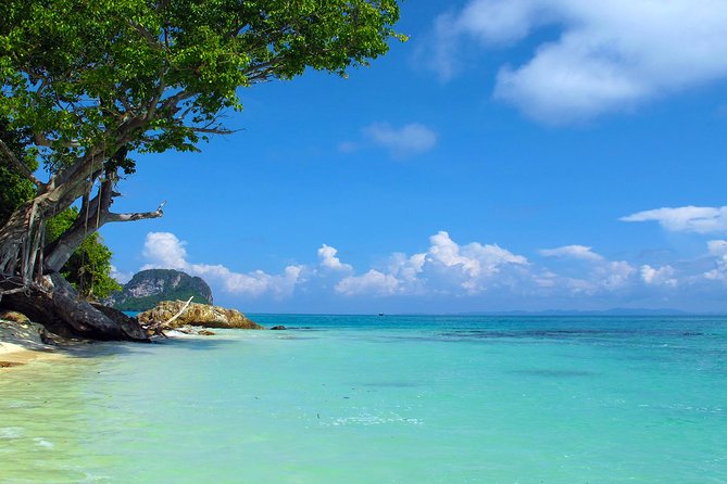 Phi Phi & Maya Bay Speedboat: All-Day Food & Choice of 3 Marinas - Monkey Beach is short but memorable