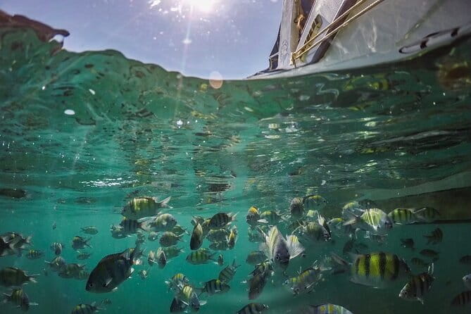 Phi Phi with Maya and Bamboo Island Day Trip by Speedboat - The crew shapes the mood of the day
