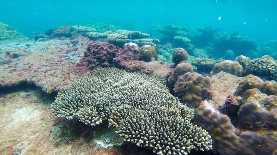 Phu Quoc: 4 Island Hopping, Speedboat, Cable Car, Water Park - Xuong Island offers a second reef stop